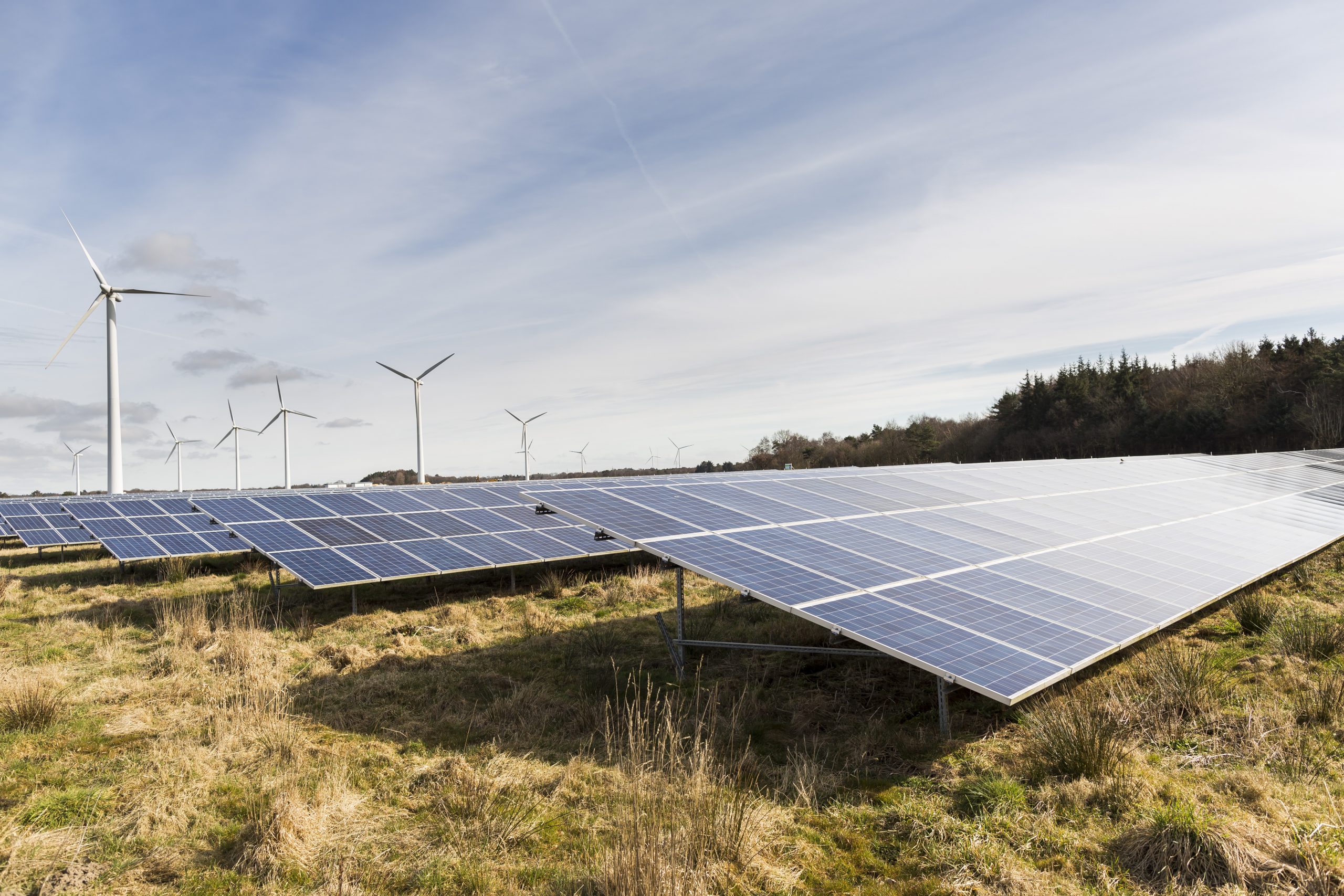 Energiekontor performed repowering at Debstedt wind farm in Germany